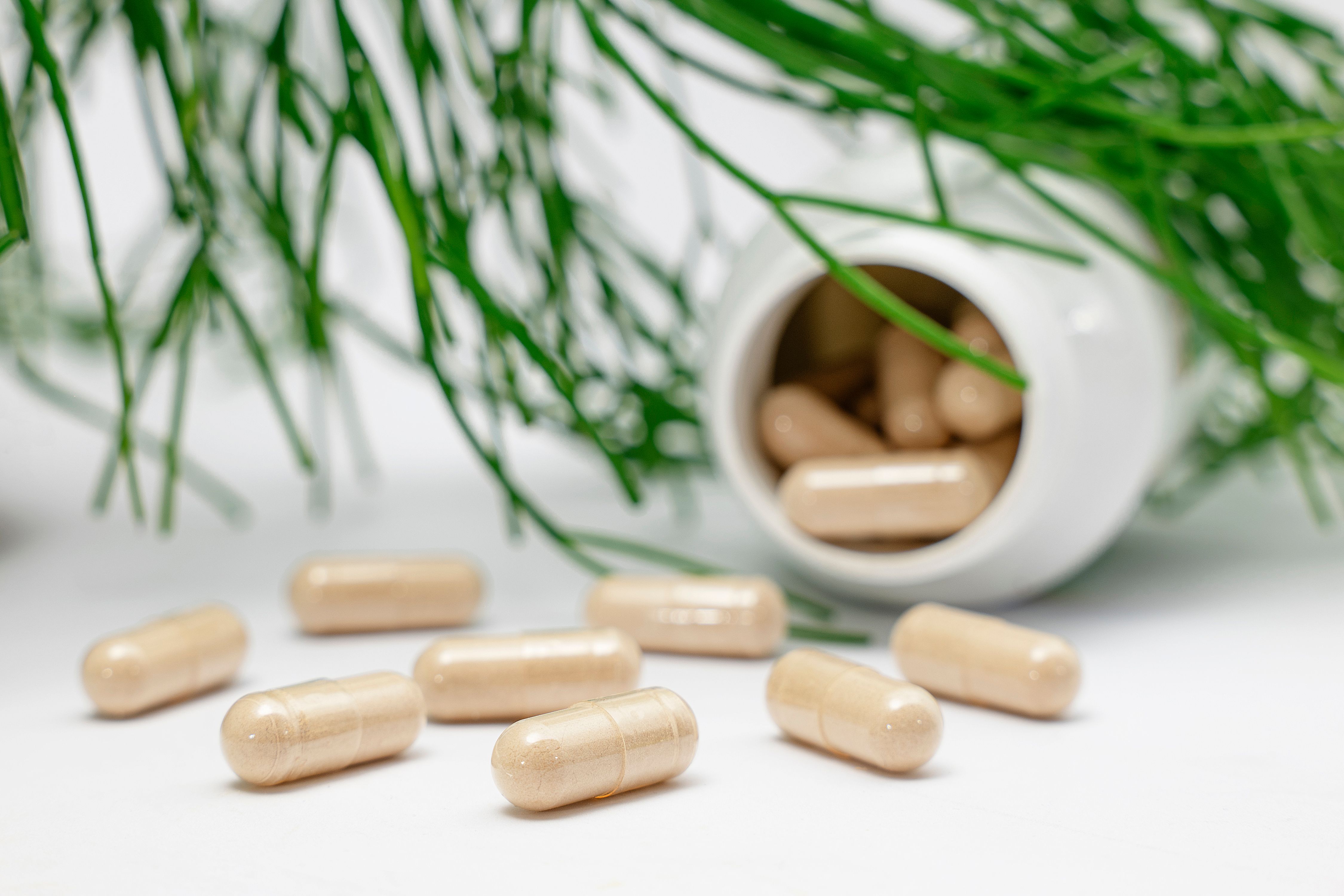 Herbal supplement capsules